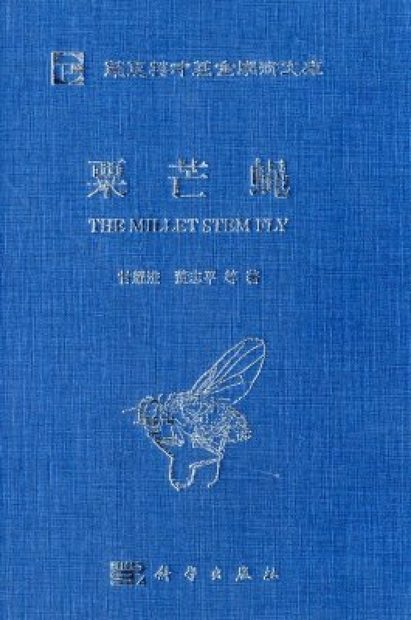 The Millet Stem Fly