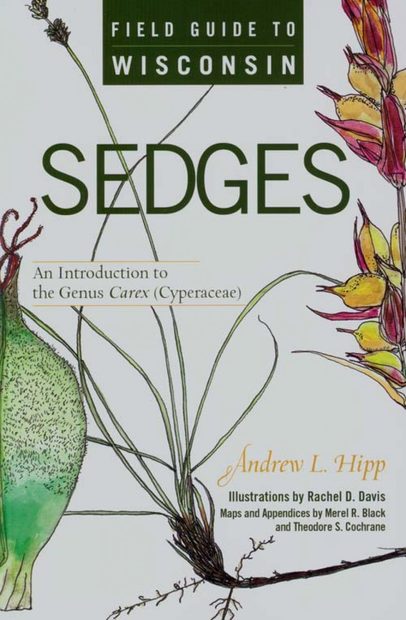 Field Guide to Wisconsin Sedges