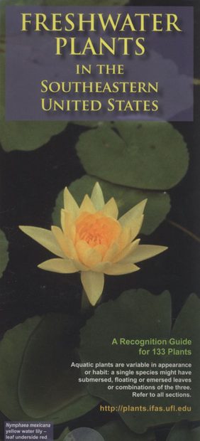 Freshwater Plants in the Southeastern United States
