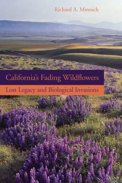 California's Fading Wildflowers