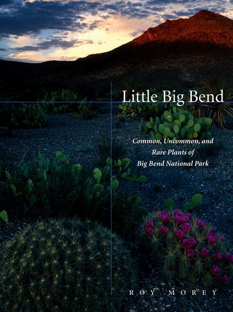 Little Big Bend