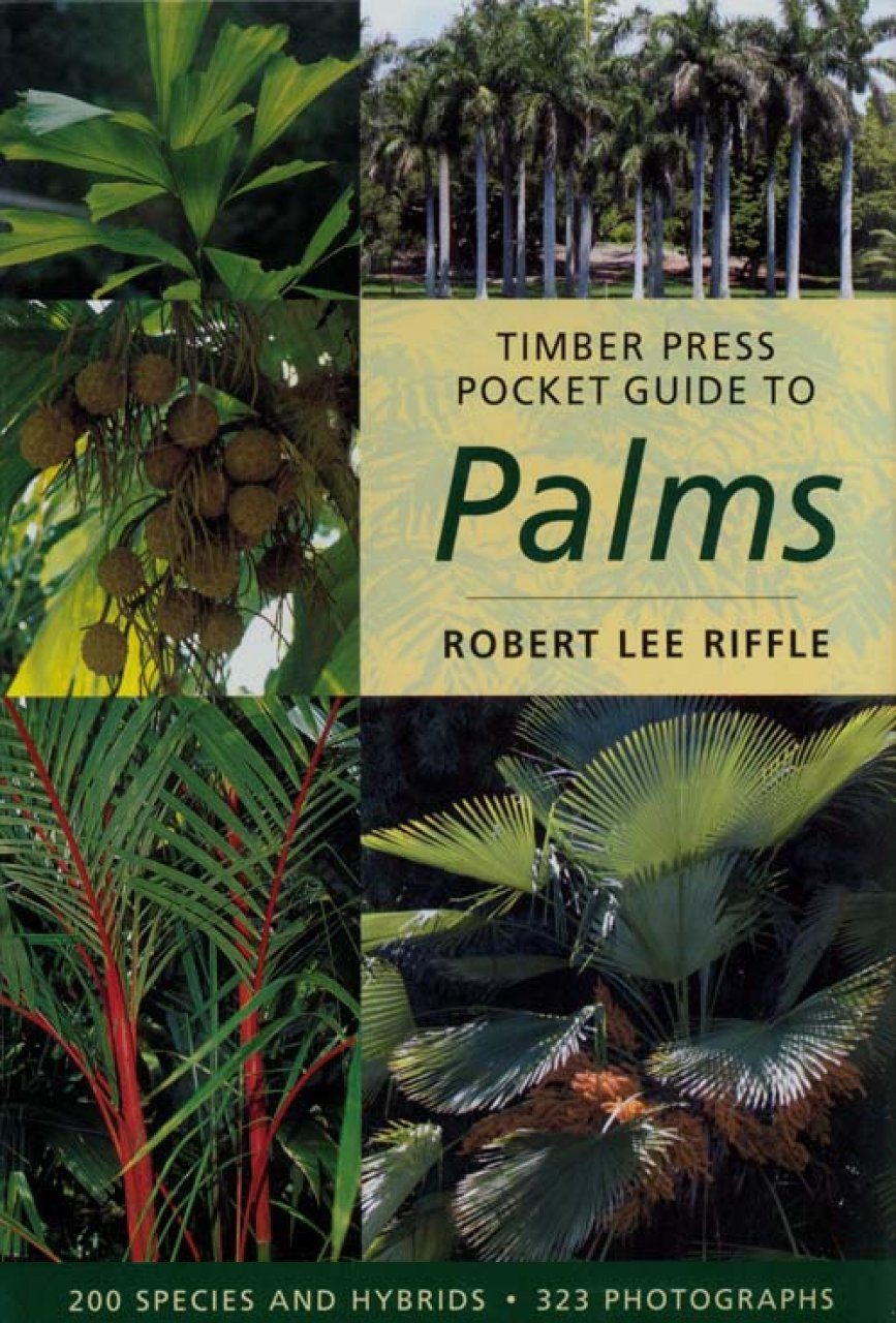 Дикие пальмы книга. Книга Пальма. Идентификация пальмы. Palm Pocket. Book of Palms.
