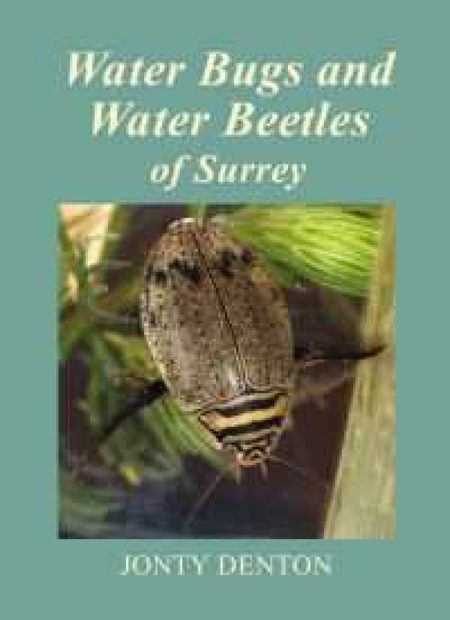 Water Bugs and Water Beetles of Surrey