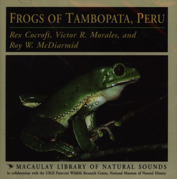 Frogs of Tambopata, Peru