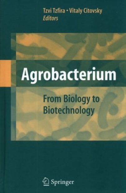 Agrobacterium