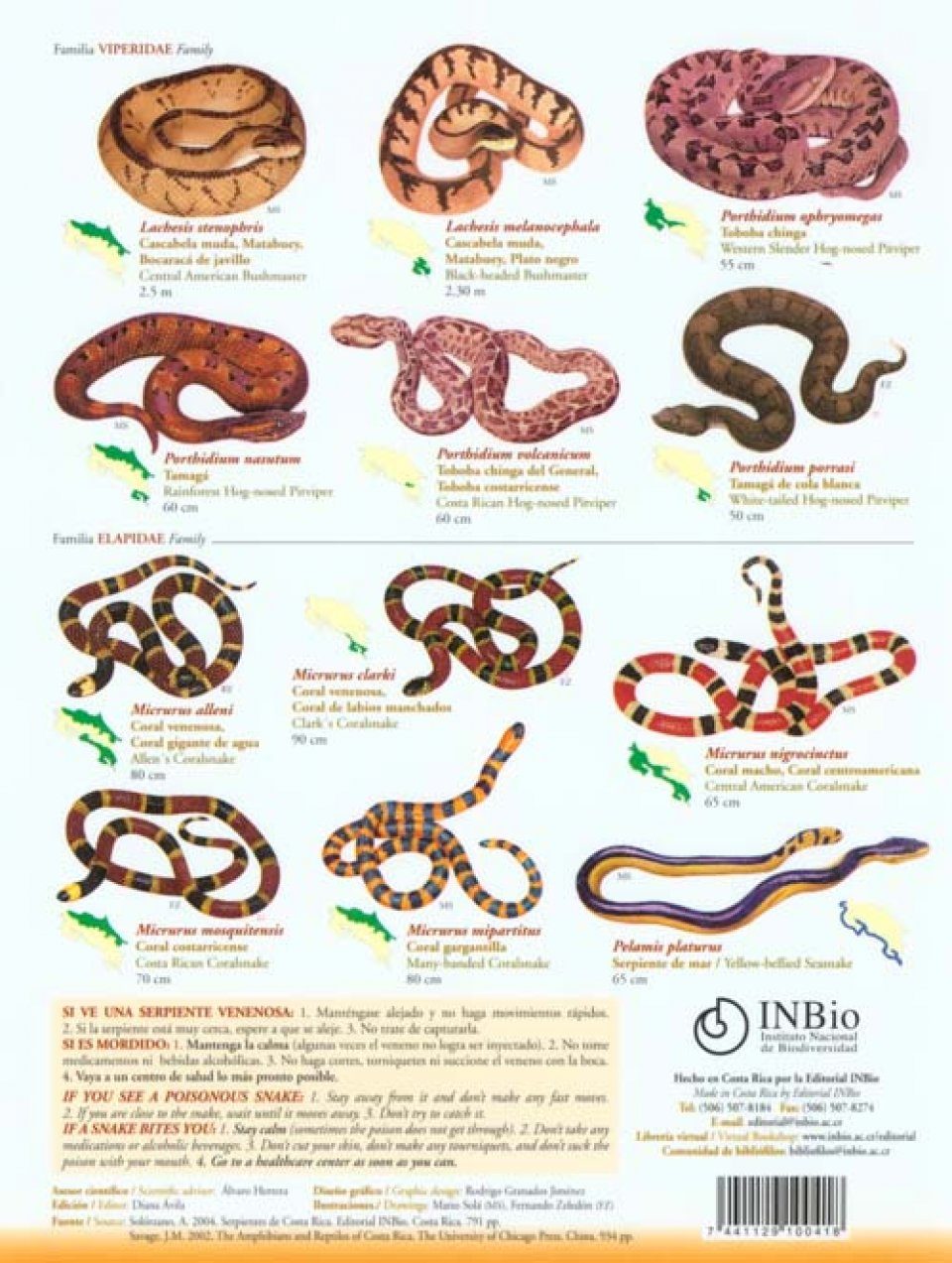 Snakes Identification Chart