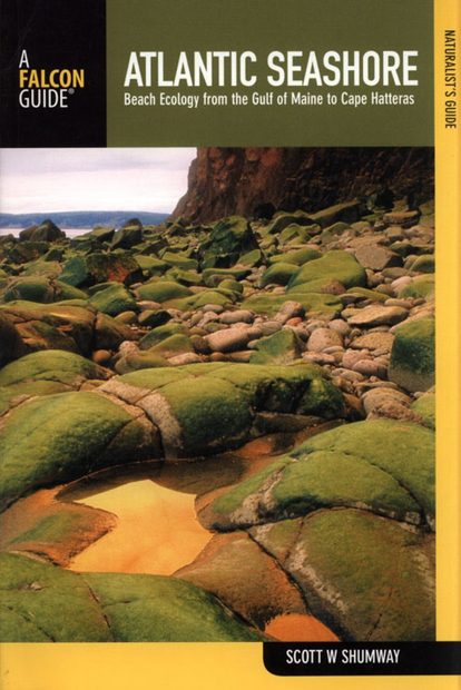 The Naturalist's Guide to the Atlantic Seashore