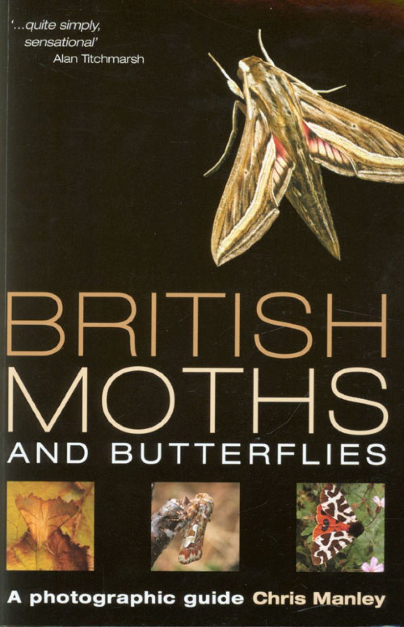 British Moths And Butterflies A Photographic Guide Nhbs