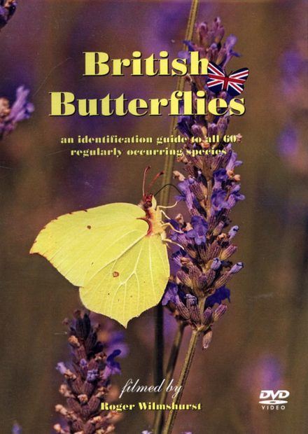 British Butterflies (Region ALL)