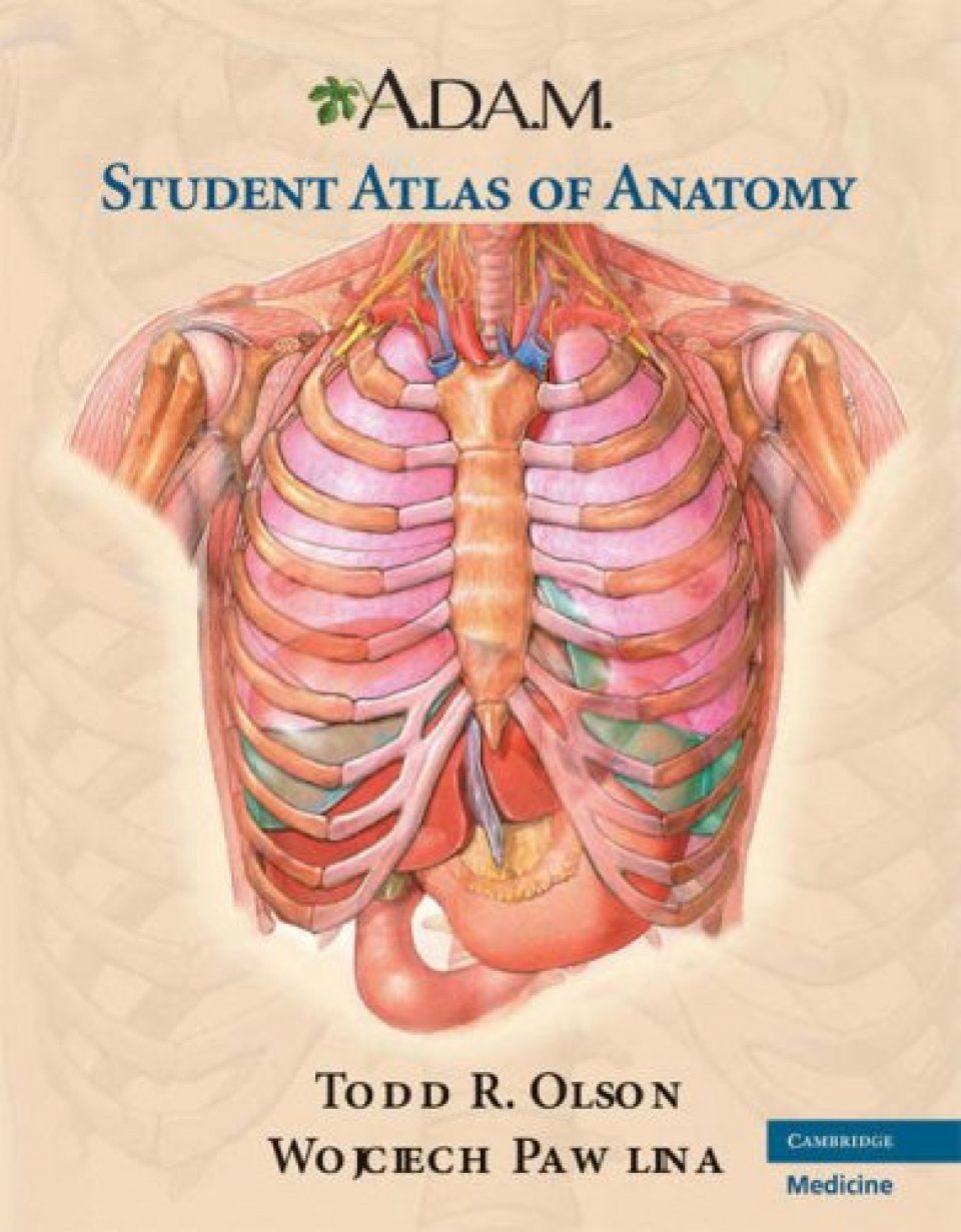Атлас студентам анатомии