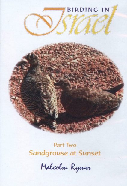 Birding in Israel, Part Two (All Regions)