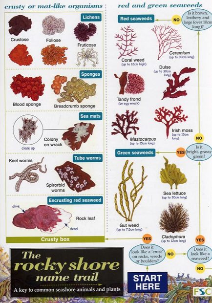 The Rocky Shore Name Trail