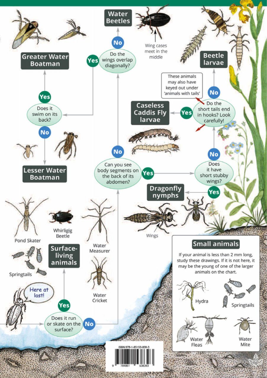 Freshwater Identification Chart