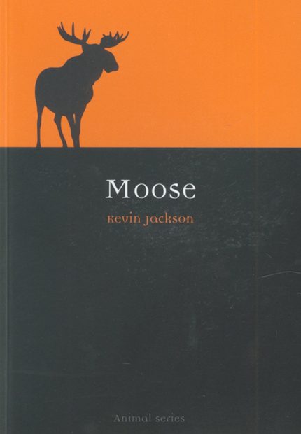 Moose