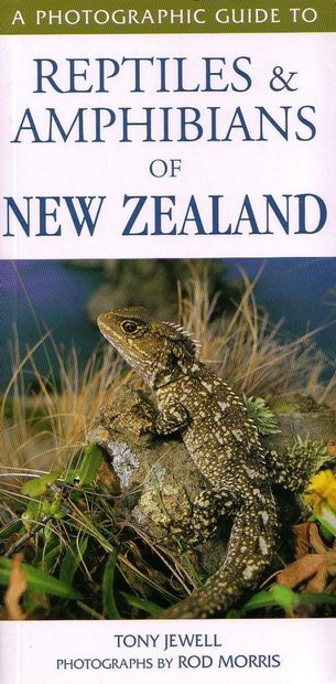A Photographic Guide to Reptiles and Amphibians of New Zealand