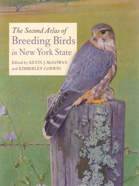 The Second Atlas of Breeding Birds in New York State