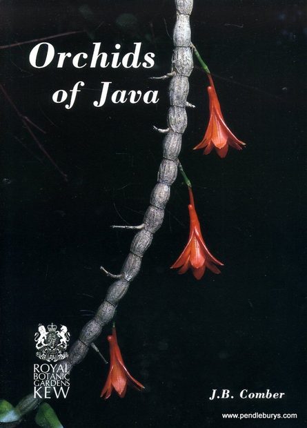Orchids of Java