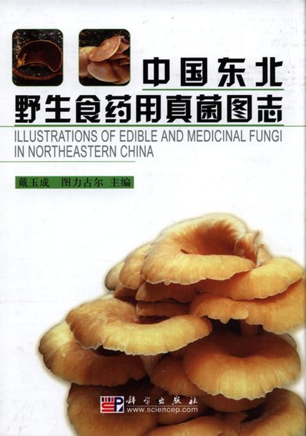 Illustrations of Edible and Medicinal Fungi in Northeastern China