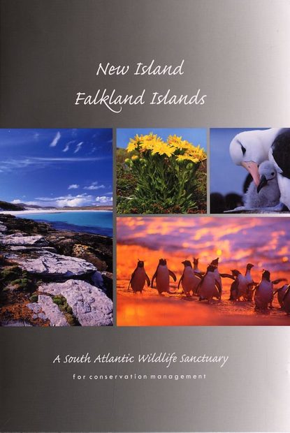 New Island, Falkland Islands