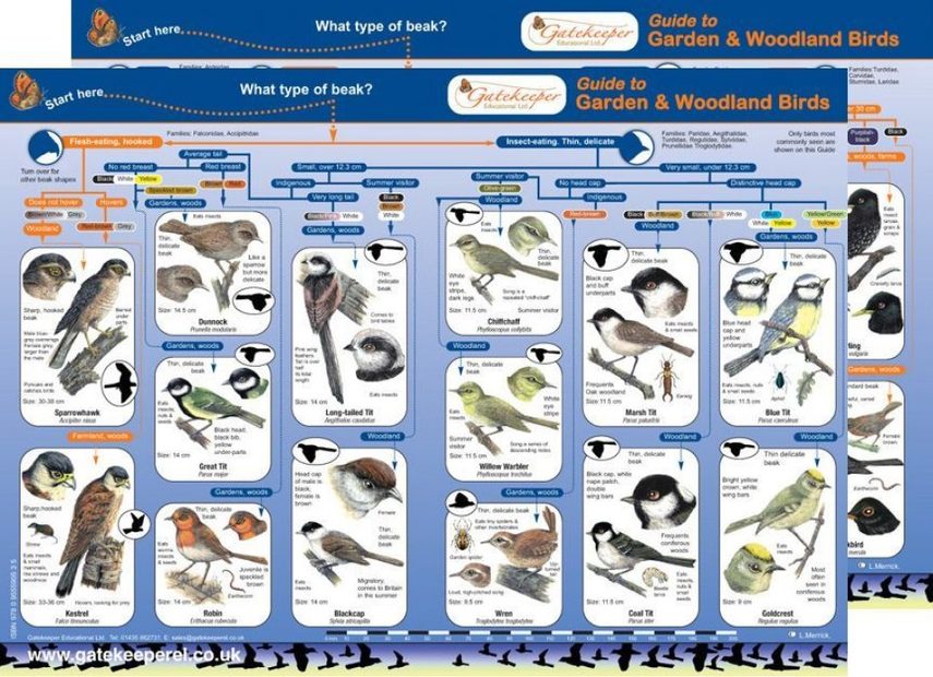 Guide to Garden & Woodland Birds