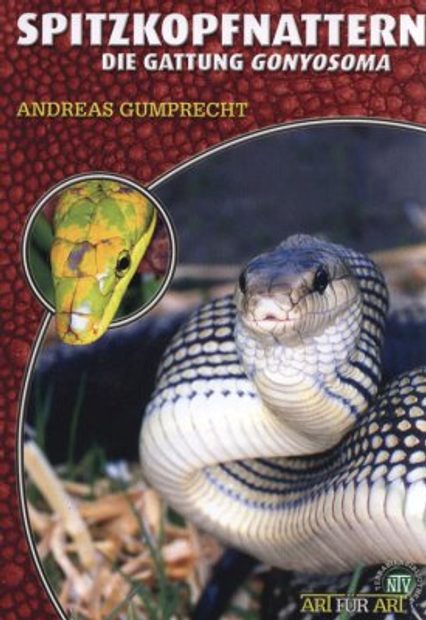Spitzkopfnattern: Die Gattung Gonyosoma