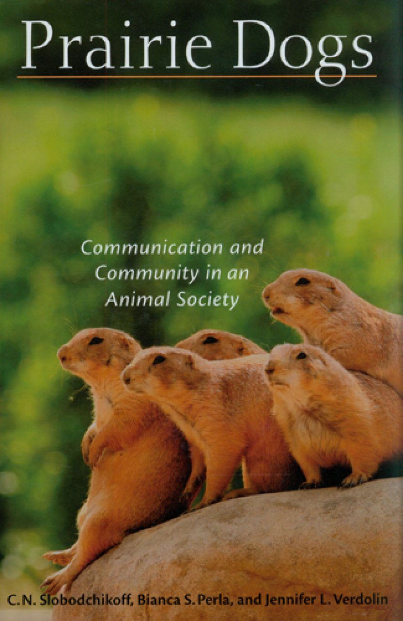Prairie Dogs Communication And Community In An Animal