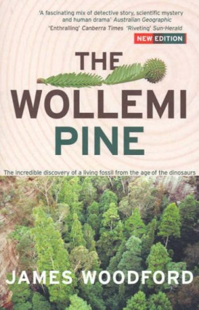 The Wollemi Pine