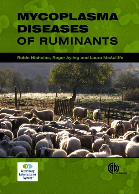Mycoplasma Diseases of Ruminants