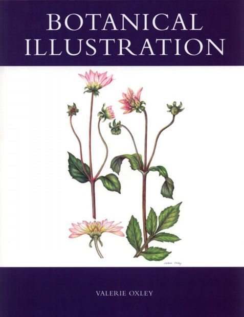 Botanical Illustration