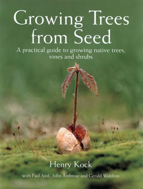 Growing Trees from Seed