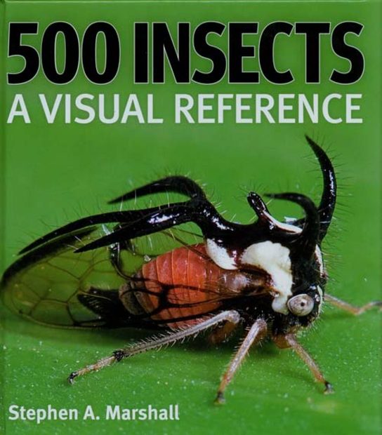 500 Insects