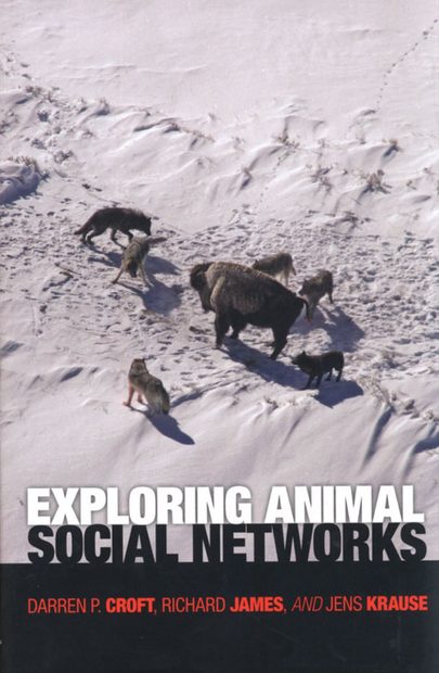 Exploring Animal Social Networks