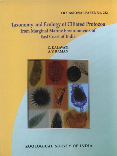 Taxonomy and Ecology of Ciliated Protozoa From Marginal Marine Environments of East Coast of India