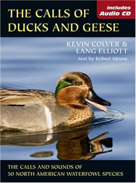 The Calls of Ducks and Geese