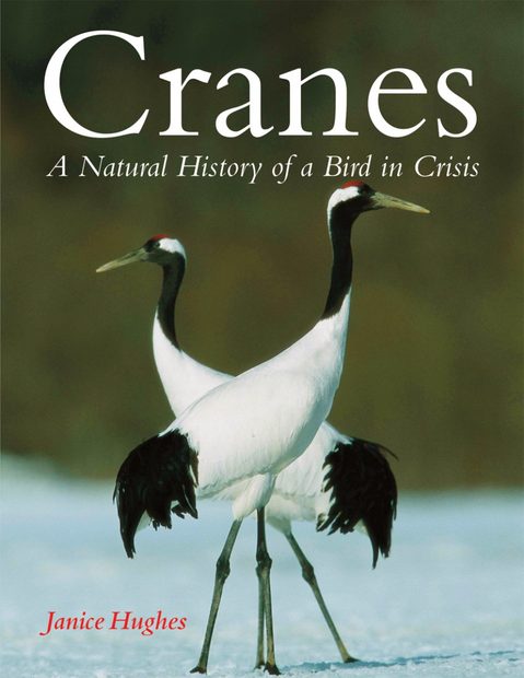 Cranes