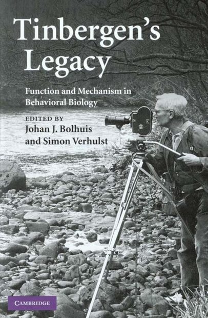 Tinbergen's Legacy