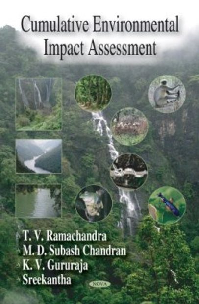 Cumulative Environmental Impact Assessment