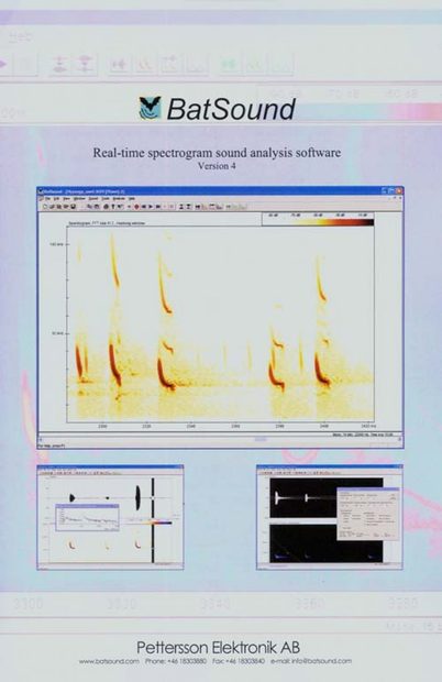 Pettersson's BatSound v4.x