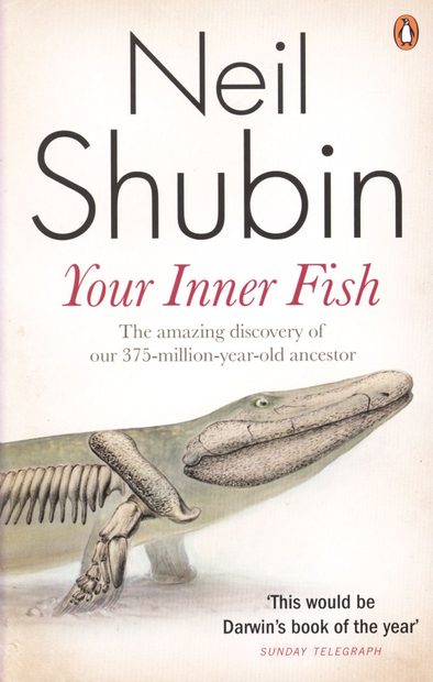 Your Inner Fish