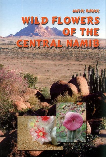 Wild Flowers of the Central Namib