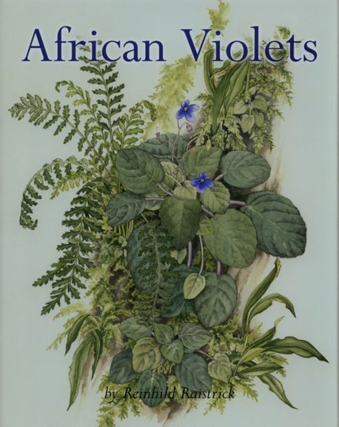 Transitioning to Sustainability Through Research and Development on Ecos