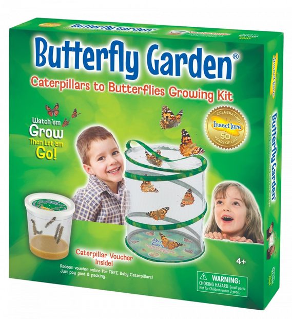 Butterfly Garden