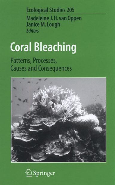 Coral Bleaching