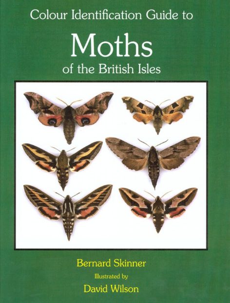 Colour Identification Guide to Moths of the British Isles