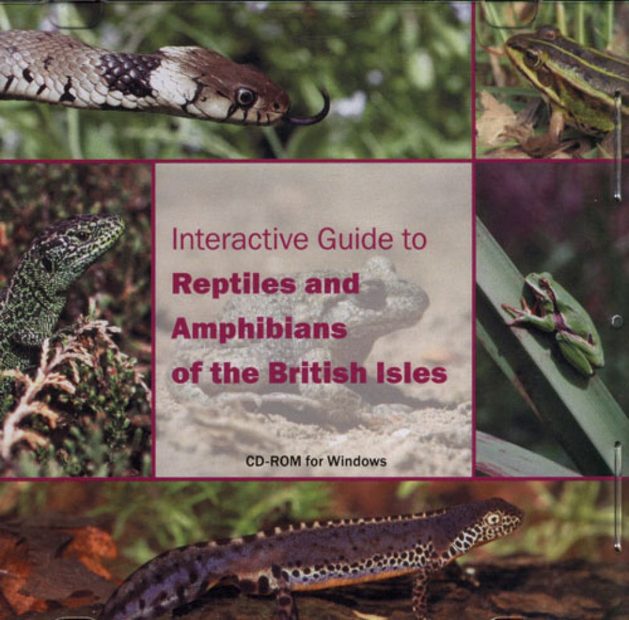 Interactive Guide to Reptiles and Amphibians of the British Isles