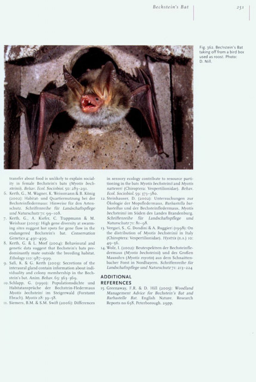 Bat Net Vol:5 No:1 Jan2004 by ZOO-WILD - Issuu