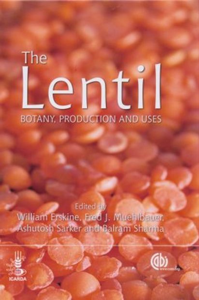 The Lentil