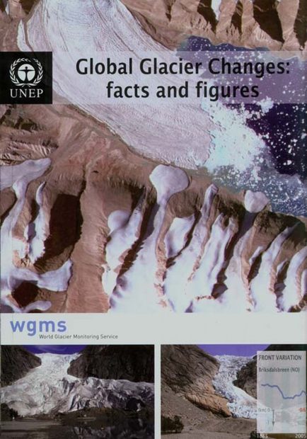 Global Glacier Changes: Facts and Figures