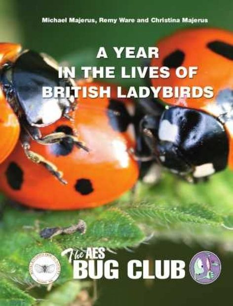 A Year in the Lives of British Ladybirds
