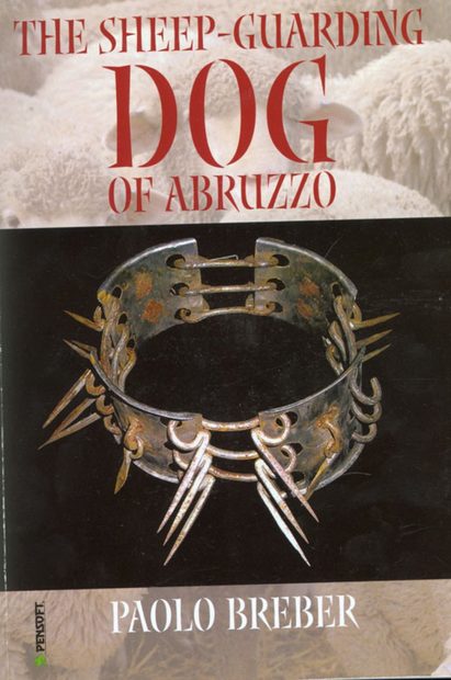 The Sheep-Guarding Dog of Abruzzo